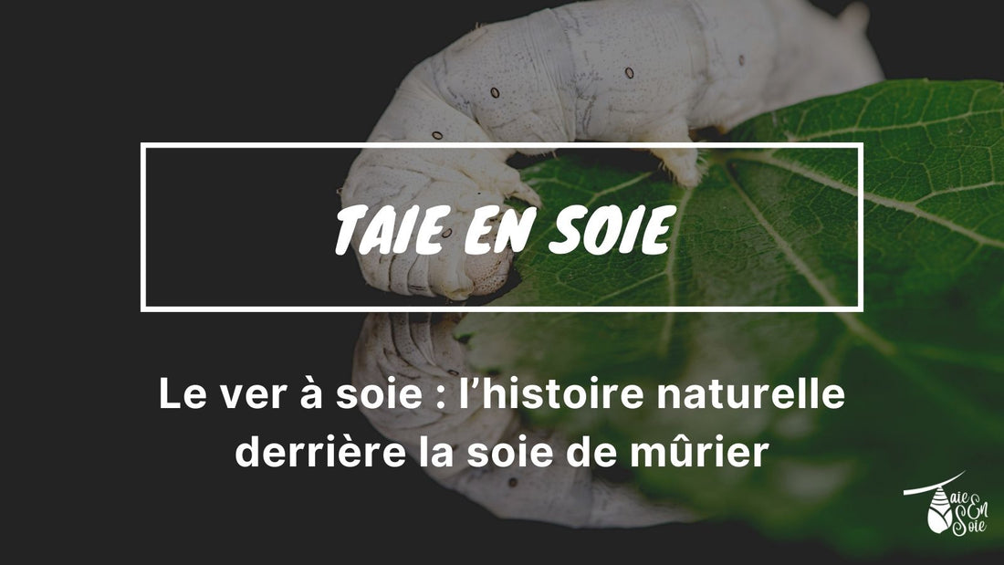 visuel d'article de blog sur le ver à soie représentant un ver à soie mangeant une feuille de mûrier